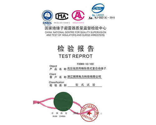 中文檢測(cè)報(bào)告